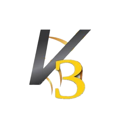 V3 Logo